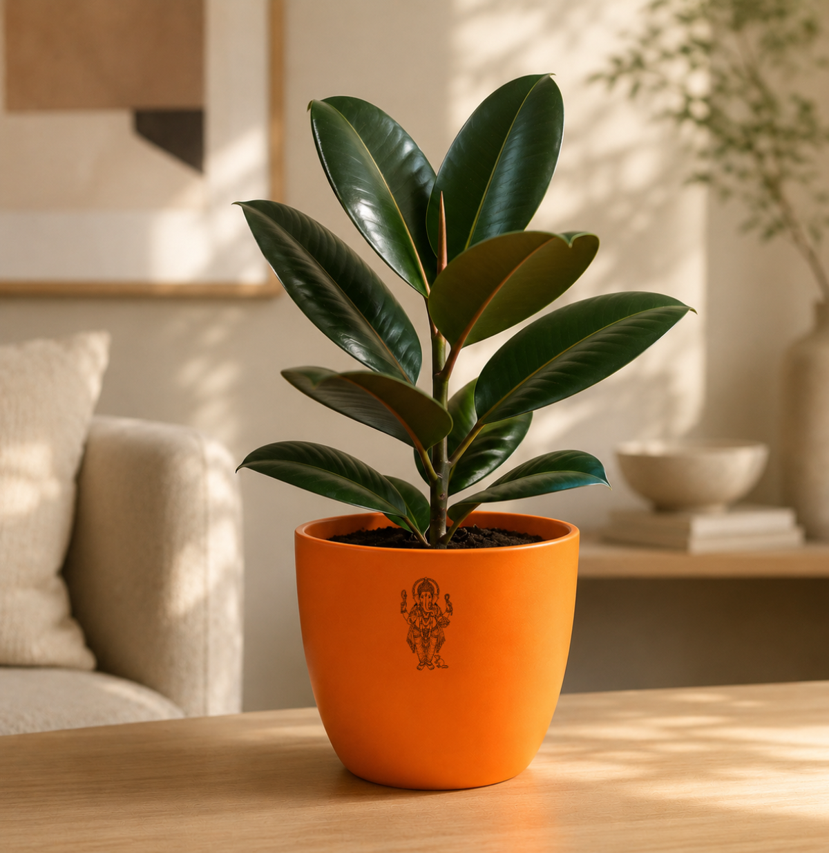 Rubber Plant — Ganesha's Ficus रबड़ प्लांट (Ficus elastica)
