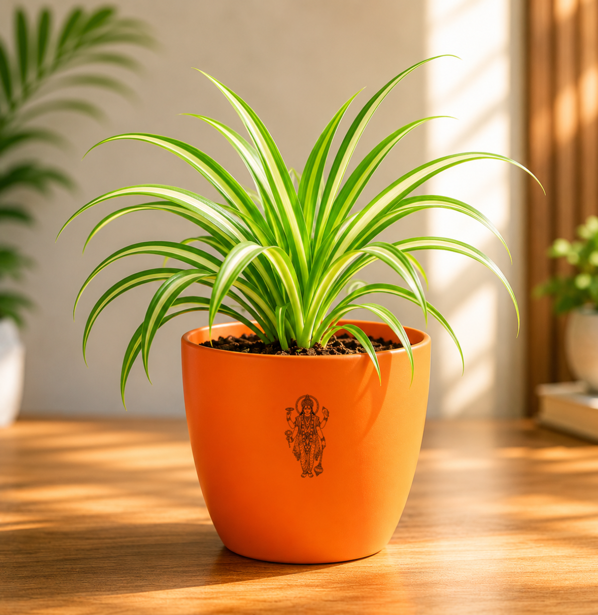 Spider Plant — Rahu's Cosmic Guardian स्पाइडर प्लांट (Chlorophytum comosum)
