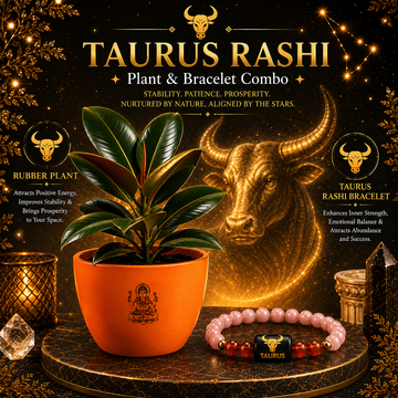 Taurus Evergreen Combo – Rubber Plant & Zodiac Bracelet - 1