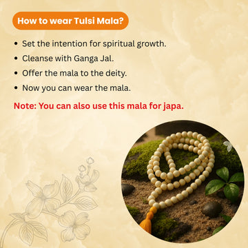 Tulsi Mala – Sacred Shield of Purity & Devotion - 4