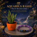 Aquarius Sacred Snake Plant Combo