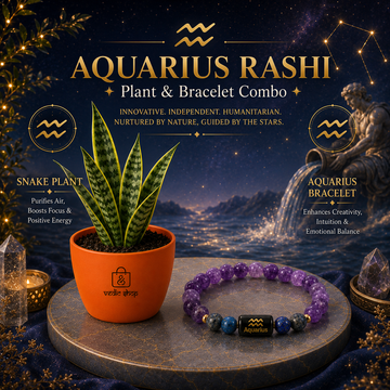 Aquarius Sacred Snake Plant Combo - 1