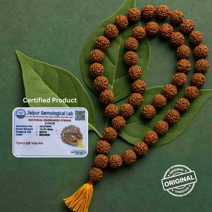 5 Mukhi Rudraksha Mala (108 Beads)