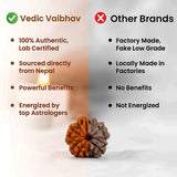 5 mukhi Rudraksha Bracelet with 108 Beads Mala Combo