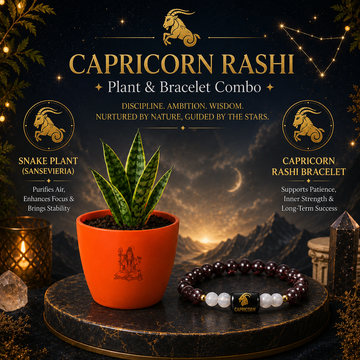 Capricorn Growth & Prosperity Combo – Snake Plant & Zodiac Bracelet - 1