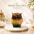 Dhan Yog Owl