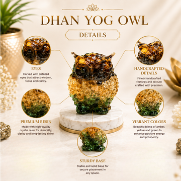 Dhan Yog Owl - 2
