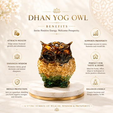 Dhan Yog Owl - 3