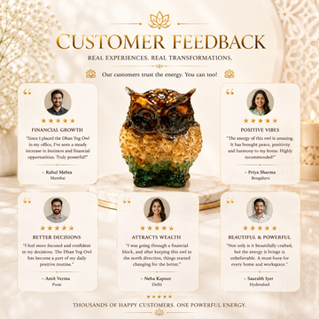 Dhan Yog Owl - 4