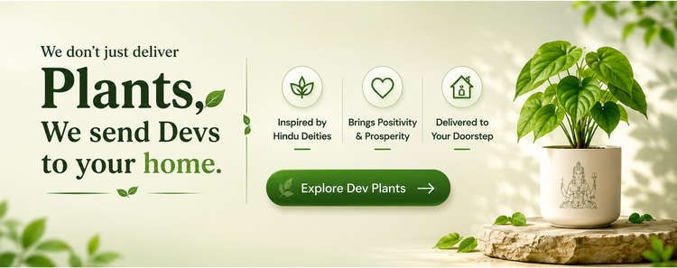 Vatika plants