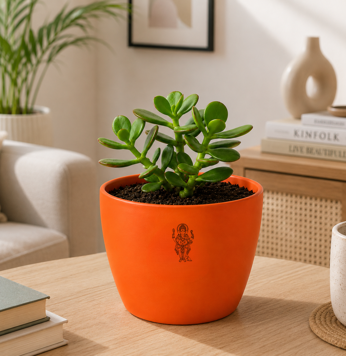 Jade Plant — Kubera's Treasure जेड प्लांट (Crassula ovata)