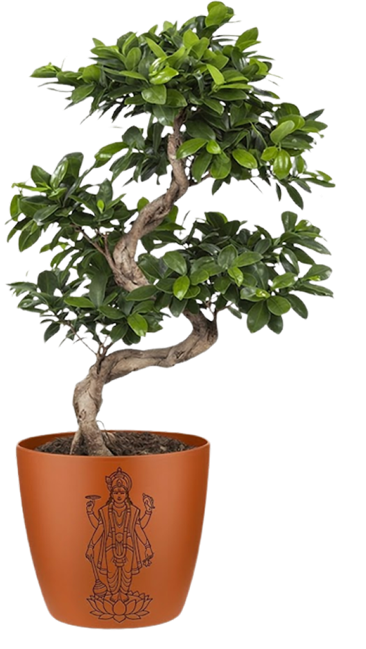 Coming Soon Centerpiece