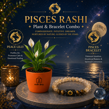 Pisces Sacred Peace Lily Combo - 1