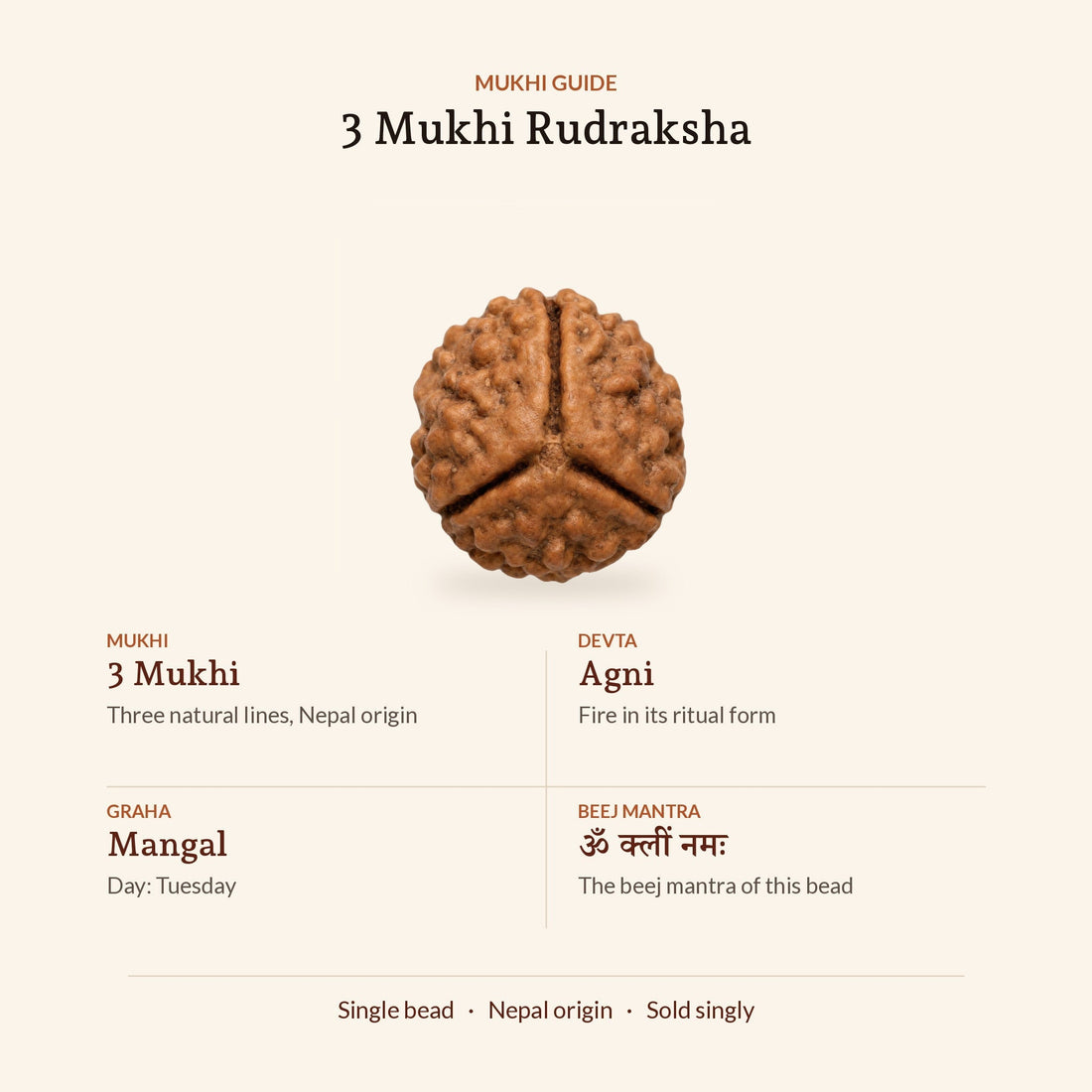 3 Mukhi Rudraksha (Nepal Origin, Lab Certified), mukhi guide