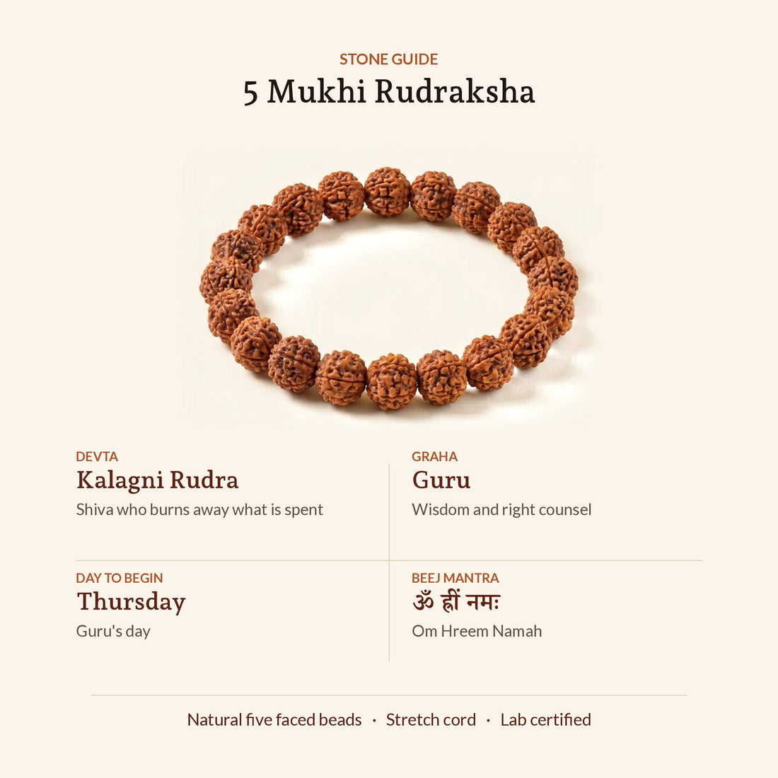 5 Mukhi Rudraksha Bracelet, stone guide