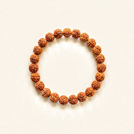 9 Mukhi Rudraksha Beads Bracelet
