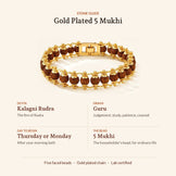 Gold Plated Rudraksha Bead Bracelet - 5 Mukhi, stone guide