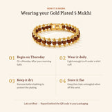 Gold Plated Rudraksha Bead Bracelet - 5 Mukhi, how it is worn