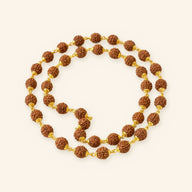Gold Plated 5 Mukhi Rudraksha Mala