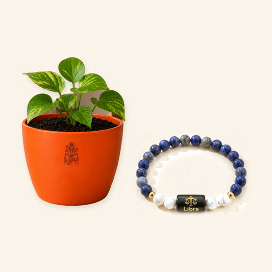 Libra Rashi Prosperity Combo: Money Plant and Zodiac Bracelet