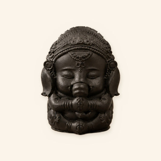 Little Ganesha Ji Idol (Matte Black Pyrite)
