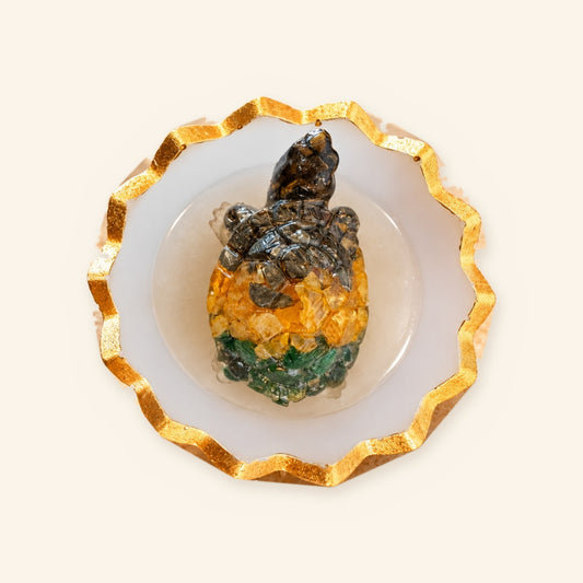 Natural Dhan Yog Tortoise with Bowl