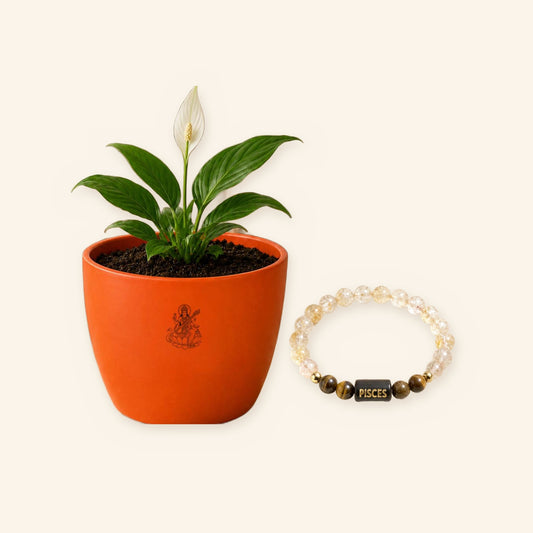Pisces Sacred Peace Lily Combo