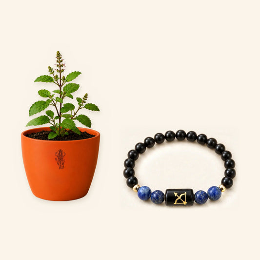Sagittarius Prosperity and Tulsi Blessings Combo