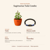 Sagittarius Prosperity and Tulsi Blessings Combo, what is in the box