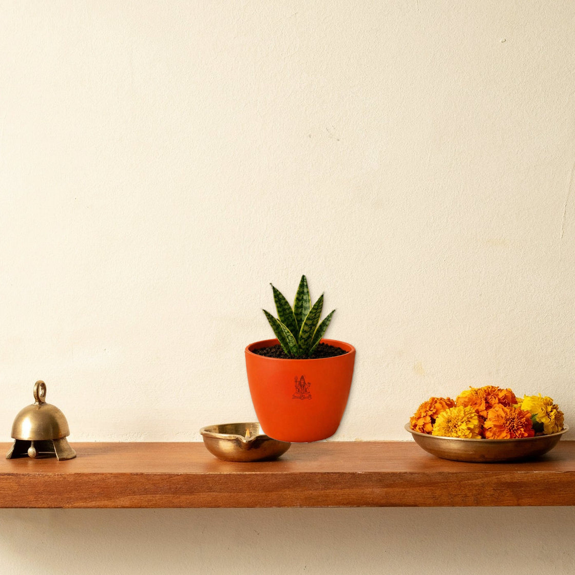 live plant in an orange pot on a wooden puja shelf with a brass bell and marigolds