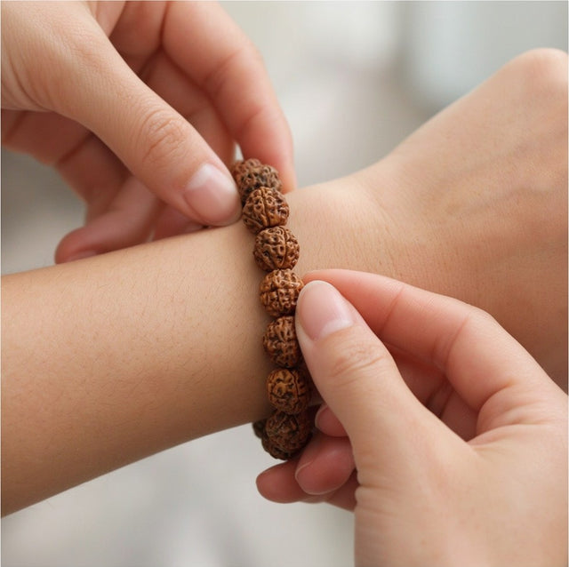 5 Mukhi Rudraksha Bracelet, settle it on the wrist