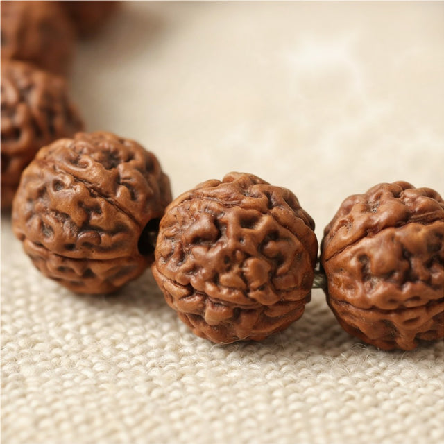 5 Mukhi Rudraksha Bracelet, close-up detail