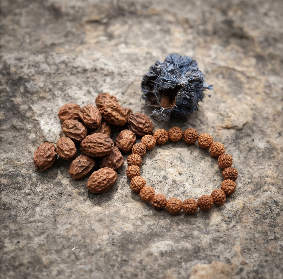 5 Mukhi Rudraksha Bracelet, where it comes from