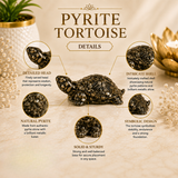 Natural Pyrite Tortoise