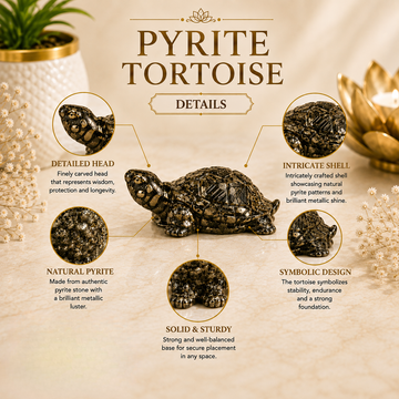 Natural Pyrite Tortoise - 2