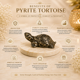 Natural Pyrite Tortoise