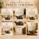 Natural Pyrite Tortoise