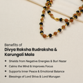 Karungali Mala With Rudraksha Beads (Gold Plated)
