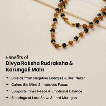 Karungali Mala With Rudraksha Beads (Gold Plated) - 5