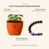 Sagittarius Prosperity and Tulsi Blessings Combo, up close