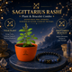 Sagittarius Prosperity & Tulsi Blessings Combo