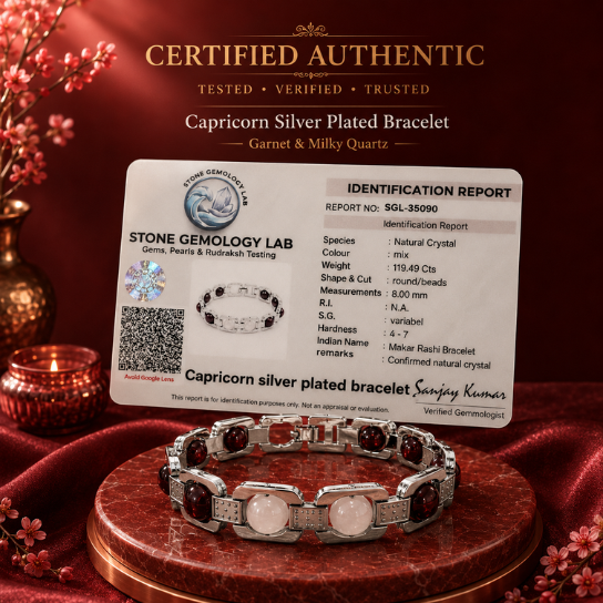 Silver Capricorn Zodiac Bracelet