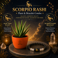 Scorpio Fortune Combo – Aloe Vera Plant & Zodiac Bracelet