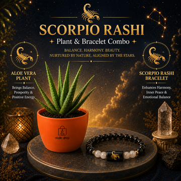 Scorpio Fortune Combo – Aloe Vera Plant & Zodiac Bracelet - 1