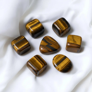Tiger Eye Tumble - 1